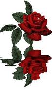AZ4FKI6CAJBLPJRCA82H7IVCAR5BN9LCAUPJUKMCAU1LJIOCAYCHC4SCA0QE4VNCAO2OJSZCADLR6F9CA7Q9T0ZCA3EX5N6CA60G4VICAO6K3SFCAVG2CO6CATWT5HICA37JQOKCA6UQ5DMCAB8S9O1CAWGRPGS